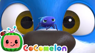 Bye Bye, Fly! 🪰  | Animal Time | CoComelon Nursery Rhymes & Kids Songs