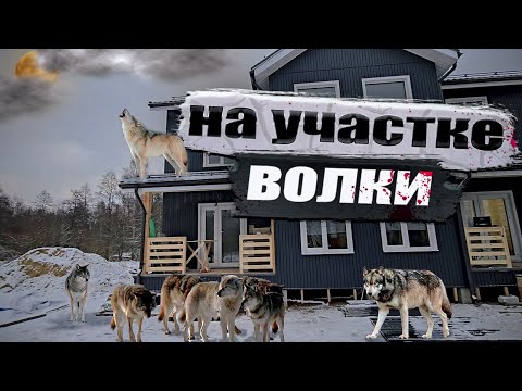 Как НЕ Надо делать Водопровод! 16 серия