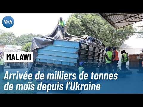 19 000 tonnes de céréales ukrainiennes arrivent au Malawi