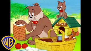 Vamos de picnic | Tom y Jerry en Latino | @WBKidsLatino