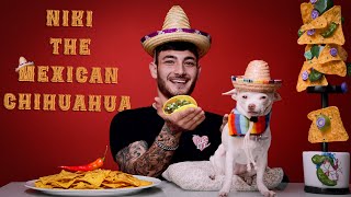 What happens when Niki is trying her Mexican sombrero?! 🤯🇲🇽