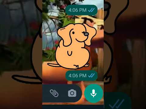 El perro salchicha gordo bachicha #meme #memes #trending