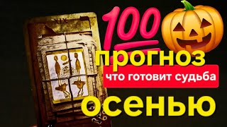 🎃🎁Гадание на картах Таро. ЧТО ГОТОВИТ СУДЬБА ЭТОЙ ОСЕНЬЮ? 
