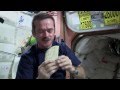 Food and Hygiene in Space