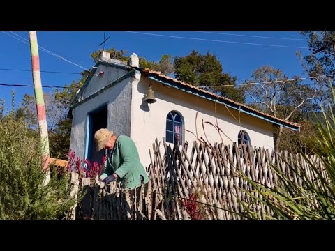 O SEGREDO NÃO É CORRER ATRÁS DAS BORBOLETAS - CUIDE DO JARDIM - BOLINHO COM SABOR DE INFÂNCIA