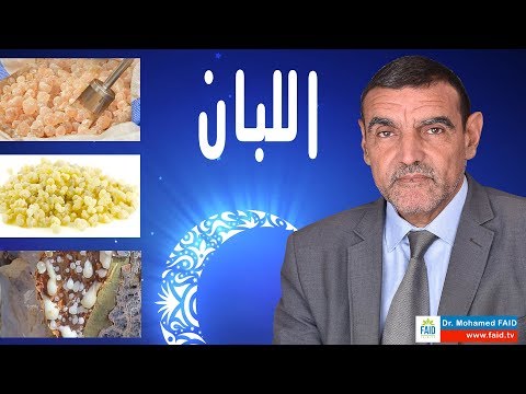 اللُّبَان | الدكتور محمد فائد