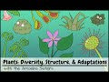 Understanding Plant Diversity and Adaptations