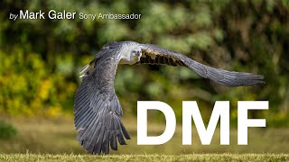 Sony's DMF Focus Mode and Full Time DMF