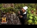 Mike Papik's Logging Business Insights