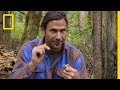 Understanding Snake Characteristics and Behavior