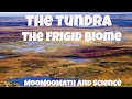 Tundra Biome Characteristics and Adaptations