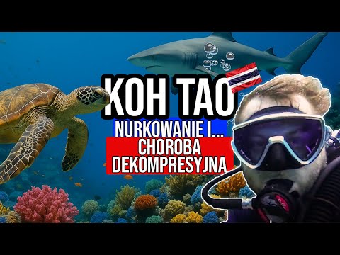NURKOWANIE Z REKINAMI W TAJLAND !
