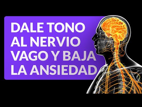 Ejercicios para darle tono al nervio vago y bajar la ansiedad
