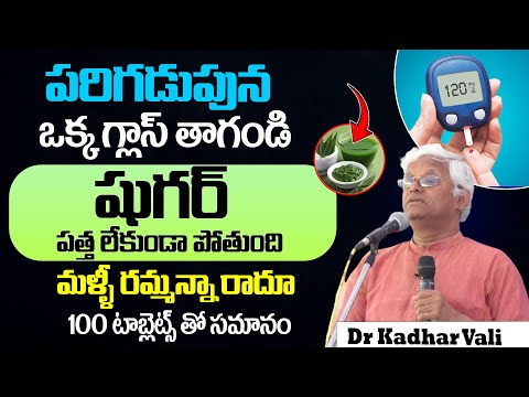 పరిగడుపున ఒక్క గ్లాస్ తాగండి షుగర్ పత్త లేకుండా పోతుంది |  Dr Khadar Vali | Sugar Health Tips