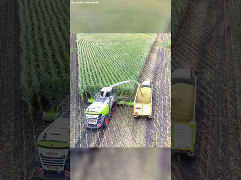 किसानों के लिए दो कमल की मशीन #farming