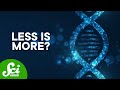Understanding SCA1 and the Kavli Prize