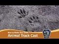Casting Animal Tracks Techniques