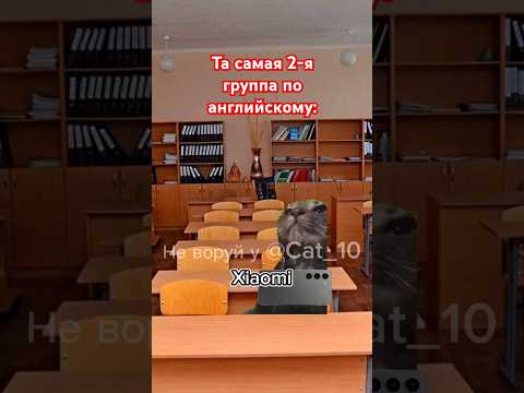 Пов: 🇺🇸🦅#cat #мем #врек #актив #популярное #глобальныерекомендации #подпишись #коты