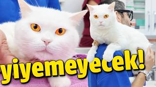 Dişleri çekmezsem...