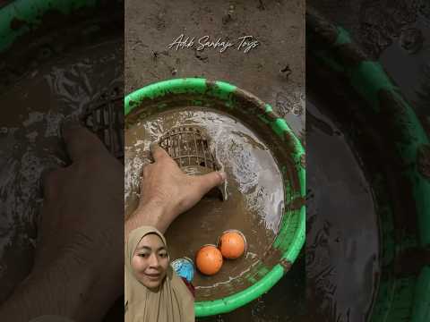 Mainan Adek di Kotorin #mainananak #mainan #reaction