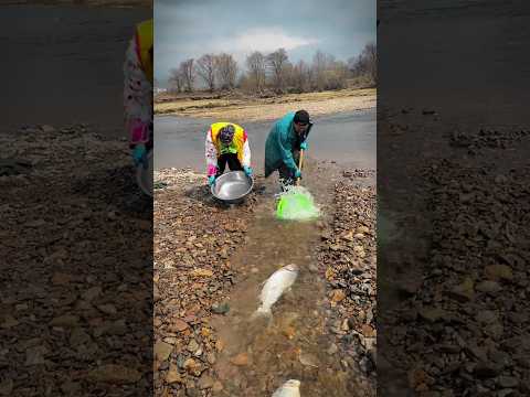 Qurbani Mubarak Special Fishing Part 61 #shorts #fishing #youtubeshorts