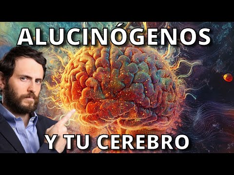 Tu Cerebro con Alucinógenos