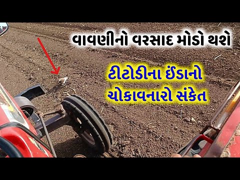 ચોમાસું 2025: વાવણીના વરસાદ માટે હજી રાહ જોવી પડશે, ટીટોડી ના ઈંડાએ આપ્યો અદભુત સંકેત, Weather live