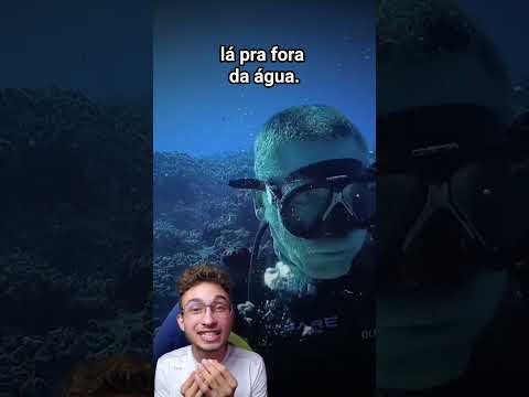 Viagem ao fundo do mar: a pressão te surpreenderá!