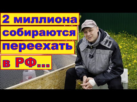 На 200 % больше обращений от русских немцев в консульства с просьбой о помощи уехать в Россию