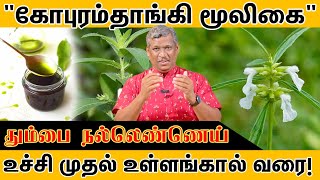 "கோபுரம்தாங்கி மூலிகை எண்ணெய்" | Easy Homemade Joint pain oil at home! | Secret!! | Healer Baskar