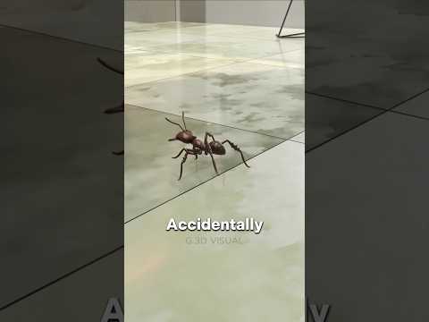 Stepped on an Ant? Here’s What Really Happens Next!