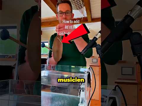 Pourquoi les chants des baleines voyages sur des kilomètres : ce test montre la vérité!