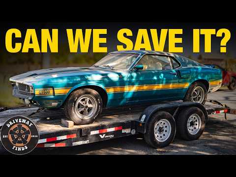 This 1969 Shelby GT 500 has been sitting for 30 years. Can we get it driving again? | Driveway Finds