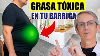 GRASA TÓXICA en tu BARRIGA Te explico cómo solucionarlo