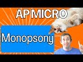 Monopsony and Labor Market Dynamics