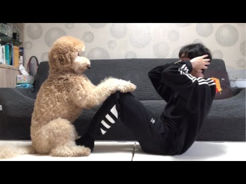 My Dog is better than a Fitness Trainer