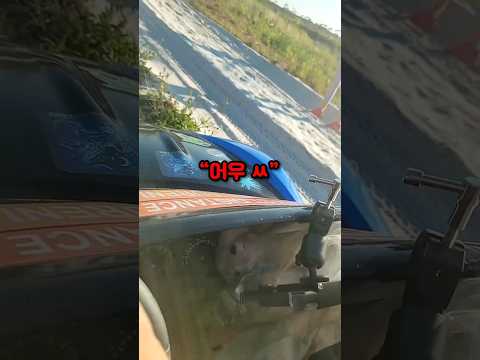 포르쉐(?)를 산 누나ㅋㅋ