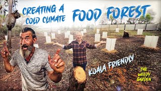 Creating a Temperate Climate Food Forest