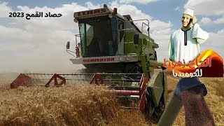 حصاد القمح🌾ارض الحاج زموط😅شاهد طريقه حصاد القمح المصري في ارض الحاج زموط #حصاد_القمح