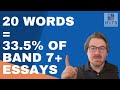 Vocabulary and Essay Writing Insights