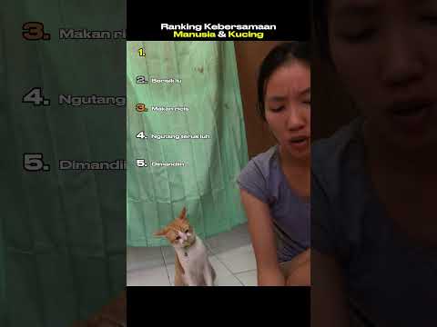 Ranking Kebersamaan Manusia & Kucing😻