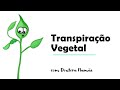 Transpiração e suas Funções nas Plantas