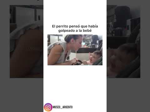 Los Mejores Memes Argentinos N°32 #humor #sarcas #barrio #comedia #blogs #dúo #burro #memes