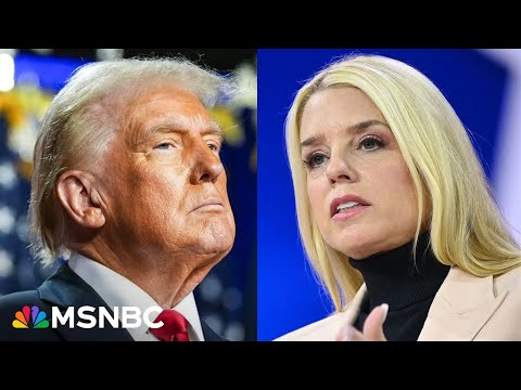 'A dangerous pick': Pam Bondi is 'not there to serve the public' only Trump