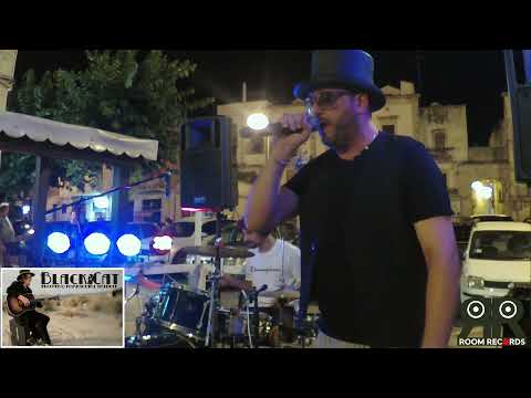 Black Cat Tribute Zucchero