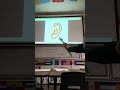 Analysis of Phrases and Duration