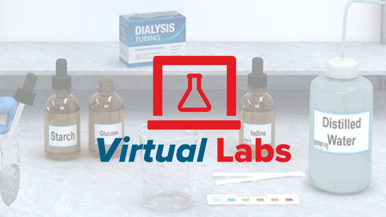 McGraw Hill Virtual Labs: Enhancing Learning Through Immersive Experiences