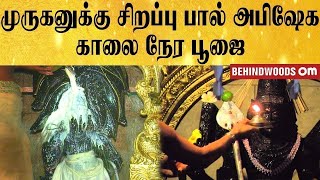 🔴நேரலை: செவ்வாய் ஸ்பெஷல் | முருகனுக்கு பால் அபிஷேக காலை நேர சிறப்பு  பூஜை | Behindwoods Om