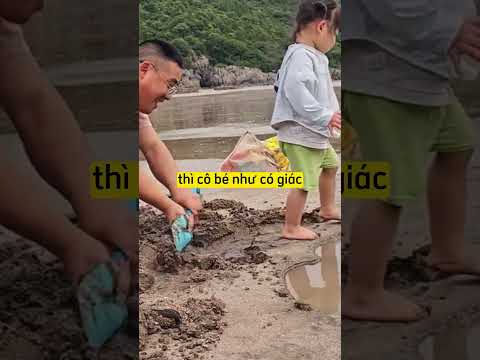 Người bố đào cát lún chân con gái trêu đùa con gái nhưng lại nhận thất bại ê chề đây