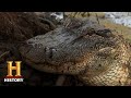 Troy Landry's Alligator Hunting Reflections